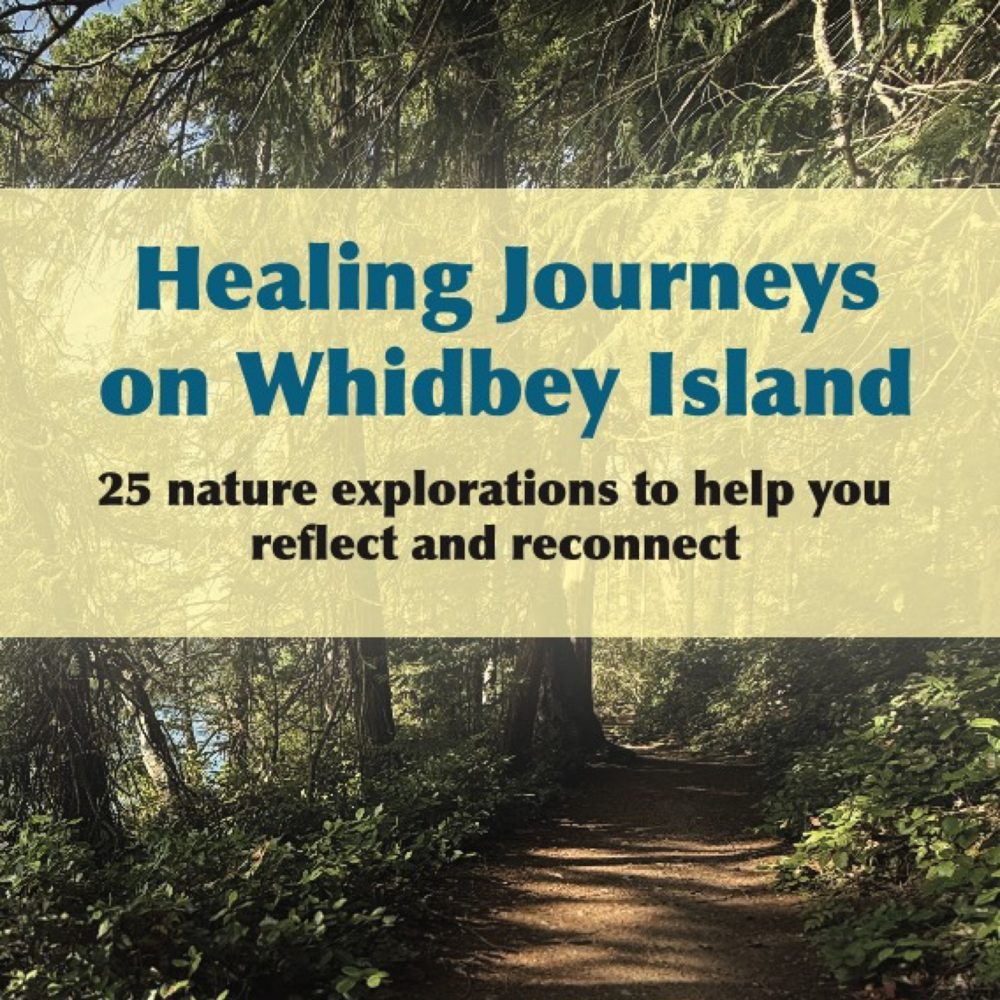 Cover of Healing Journeys on Whidbey Island: a forest trail through tall evergreens